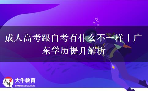 成人高考跟自考有什么不一样｜广东学历提升解析
