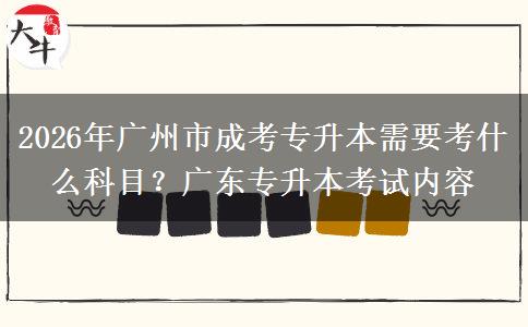 2026年广州市成考专升本需要考什么科目？广东专升本考试内容