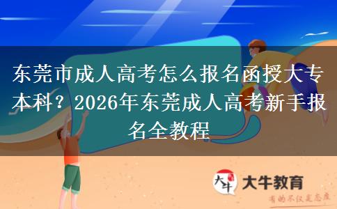 东莞市成人高考怎么报名函授大专本科？2026年东莞成人高考新手报名全教程
