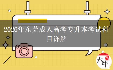 2026年东莞成人高考专升本考试科目详解