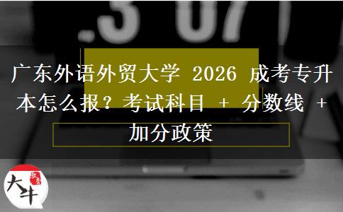 广东外语外贸大学 2026 成考专升本怎么报？考试科目 + 分数线 + 加分政策