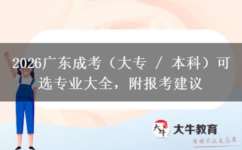 2026广东成考（大专 / 本科）可选专业大全，附报考建议