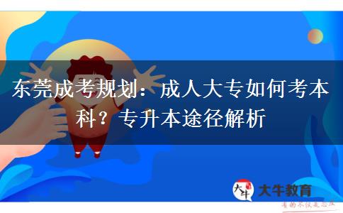 东莞成考规划：成人大专如何考本科？专升本途径解析