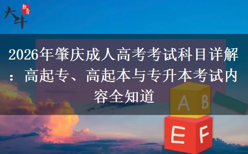 2026年肇庆成人高考考试科目详解:高起专、高起本与专升本考试内容全知道 2026年肇庆成人高考考试科目详解:高起专、高起本与专升本考试内容全知道