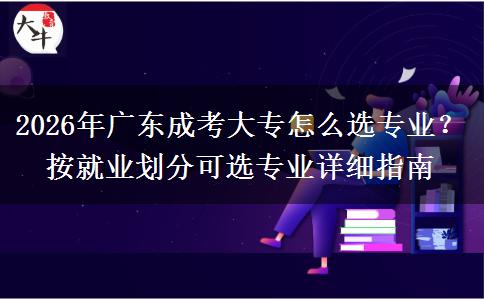 2026年广东成考大专怎么选专业？按就业划分可选专业详细指南