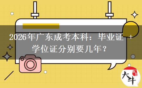 2026年广东成考本科:毕业证 + 学位证分别要几年? 2026年广东成考本科:毕业证 + 学位证分别要几年?