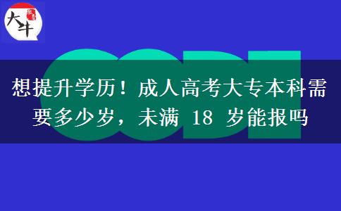 想提升学历！成人高考大专本科需要多少岁，未满 18 岁能报吗
