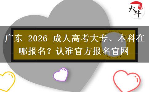 广东 2026 成人高考大专、本科在哪报名？认准官方报名官网