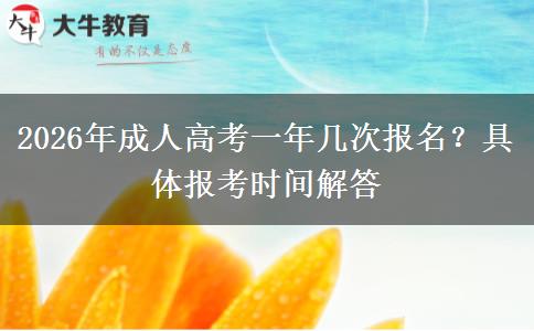 2026年成人高考一年几次报名?具体报考时间解答