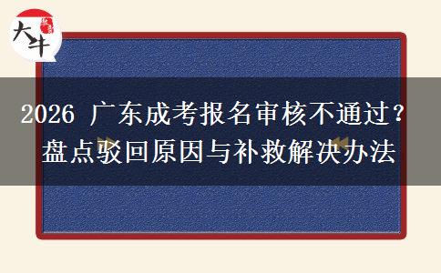 2026 广东成考报名审核不通过？盘点驳回原因与补救解决办法