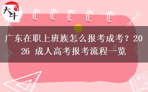 广东在职上班族怎么报考成考?2026 成人高考报考流程一览 广东在职上班族怎么报考成考?2026 成人高考报考流程一览
