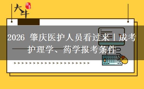 2026 肇庆医护人员看过来|成考护理学、药学报考条件 2026 肇庆医护人员看过来|成考护理学、药学报考条件