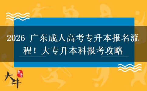 2026 广东成人高考专升本报名流程!大专升本科报考攻略