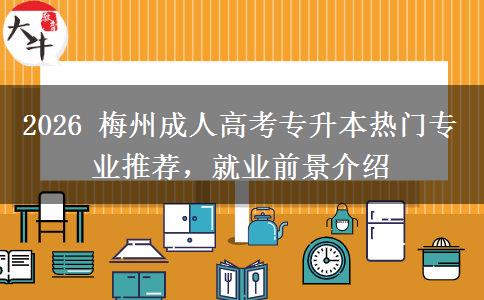 2026 梅州成人高考专升本热门专业推荐,就业前景介绍