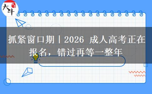 抓紧窗口期|2026 成人高考正在报名,错过再等一整年 抓紧窗口期|2026 成人高考正在报名,错过再等一整年