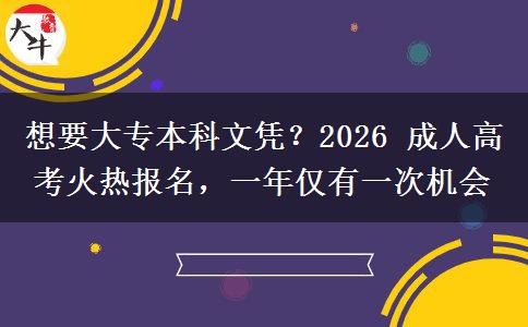 想要大专本科文凭？2026 成人高考火热报名，一年仅有一次机会