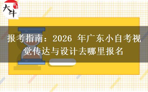 报考指南:2026 年广东小自考视觉传达与设计去哪里报名 报考指南:2026 年广东小自考视觉传达与设计去哪里报名