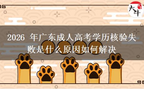 2026 年广东成人高考学历核验失败是什么原因如何解决