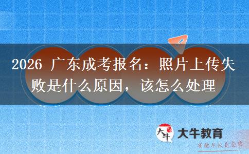 2026 广东成考报名:照片上传失败是什么原因,该怎么处理