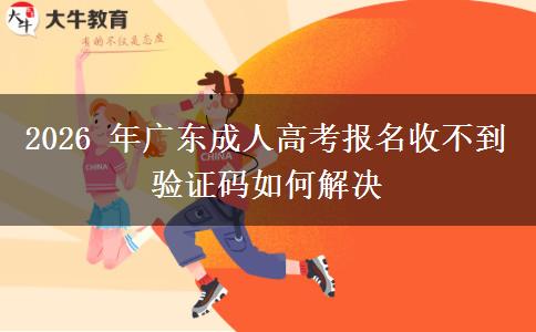 2026 年广东成人高考报名收不到验证码如何解决