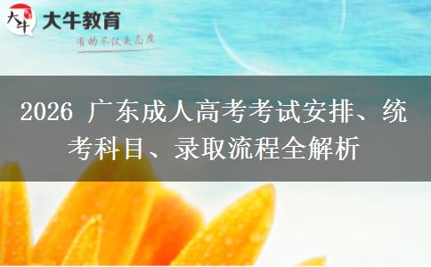 2026 广东成人高考考试安排、统考科目、录取流程全解析