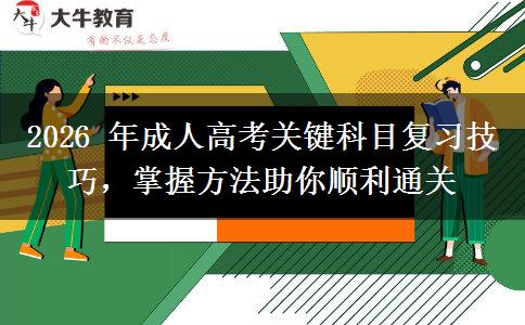 2026 年成人高考关键科目复习技巧,掌握方法助你顺利通关