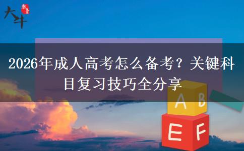 2026年成人高考怎么备考?关键科目复习技巧全分享