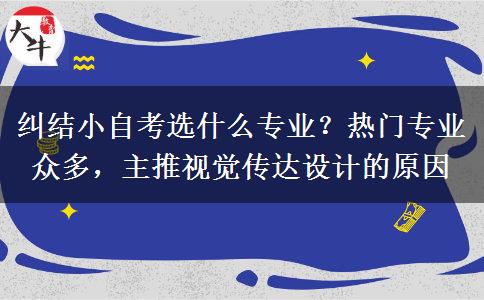 纠结小自考选什么专业？热门专业众多，主推视觉传达设计的原因