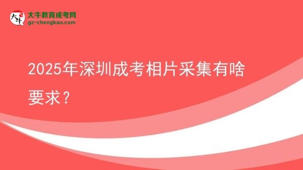 2025年深圳成考相片采集有啥要求？图片