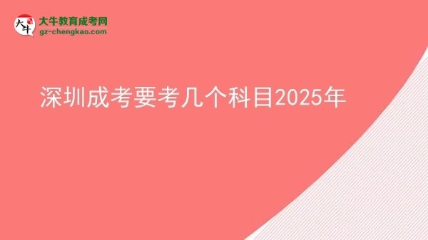 【详解】深圳成考要考几个科目2025年