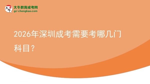 2026年深圳成考需要考哪几门科目？图片