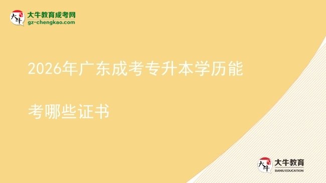 2026年广东成考专升本学历能考哪些证书图片