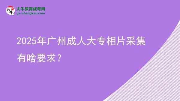 2025年广州成人大专相片采集有啥要求？