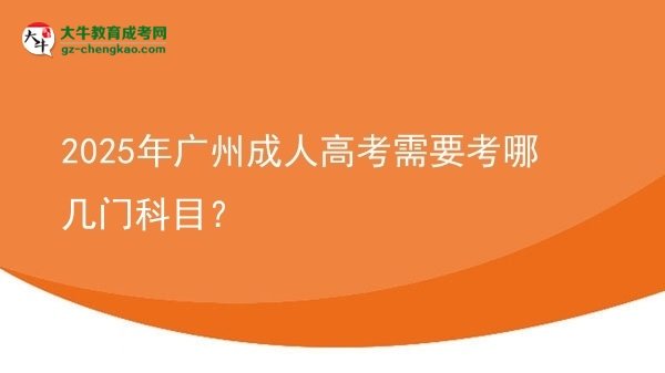【详解】2025年广州成人高考需要考哪几门科目？