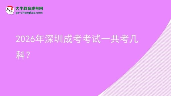 2026年深圳成考考试一共考几科？图片