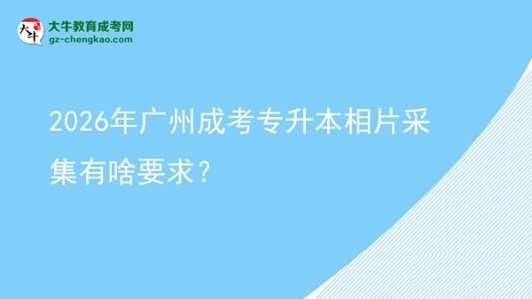 2026年广州成考专升本相片采集有啥要求？图片