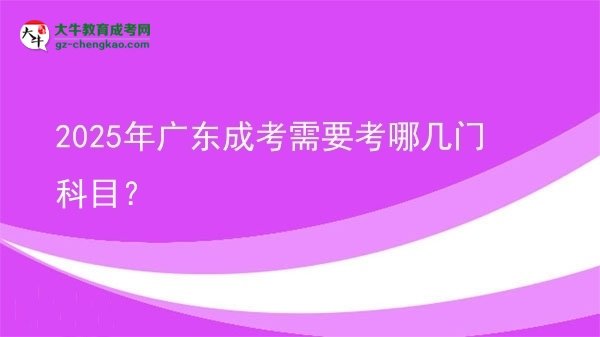 【详解】2025年广东成考需要考哪几门科目？