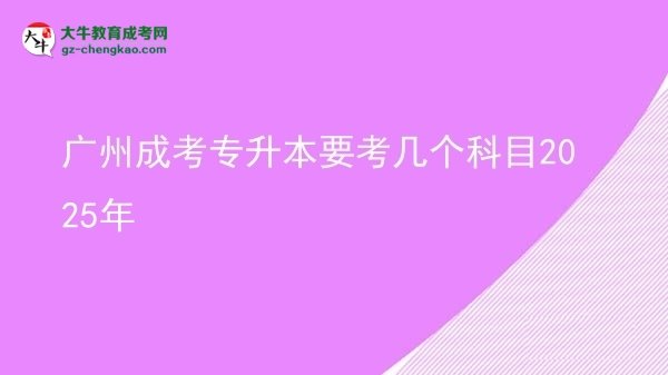 广州成考专升本要考几个科目2025年图片