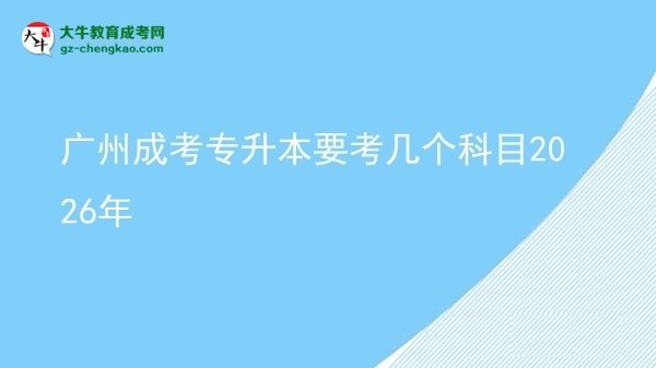 广州成考专升本要考几个科目2026年图片